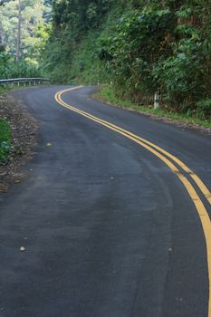 A winding road going through a forest