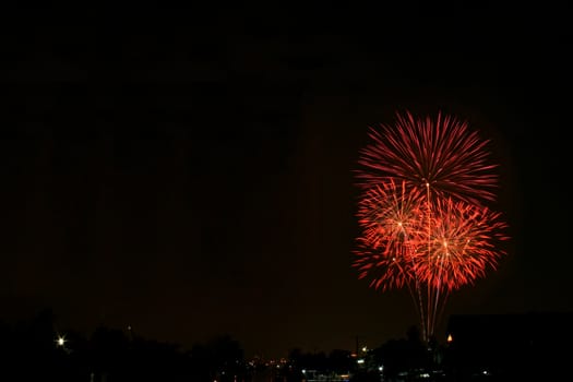 Firework against a night black sky background