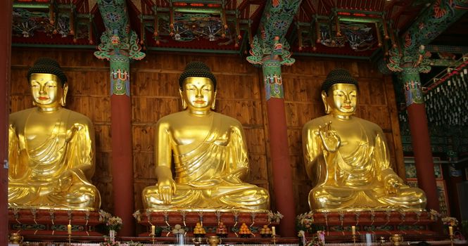 Golden buddha statues, Jogyesa temple, Korea