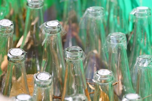 Many glass bottles