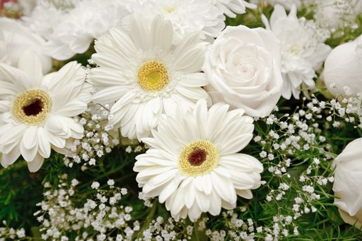 Background of a bouquet of white flowers - chrysanthemums and roses