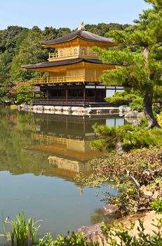 Japanese golden pagoda and reflex on water