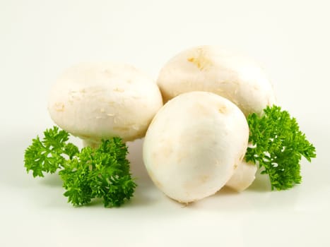 Champignon mushroom with parsley, isolated towards white background