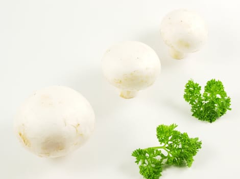 Champignon mushroom with parsley, isolated towards white background