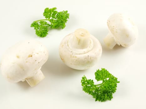 Champignon mushroom with parsley, isolated towards white background