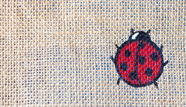 lady bug printed on cloths