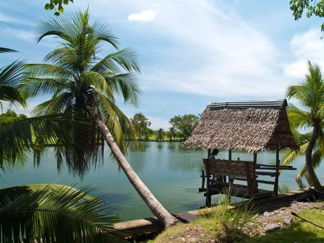 Coconut and small hut lake side