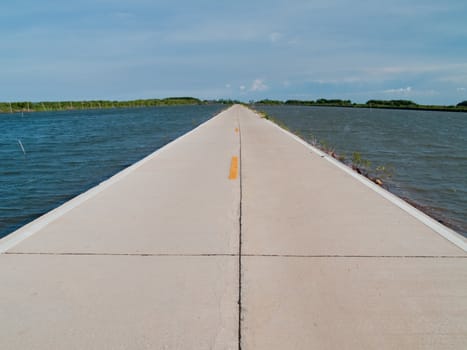 Road to mangrove educational center on the east coast of Maharchai bay, Maharchai , Samut Sakhon, Thailand