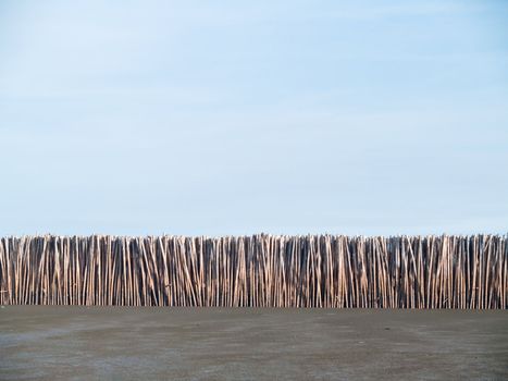 Bamboo wall on wetlands