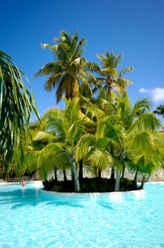 Hotel resort with a very nice swimming pool