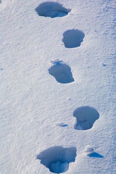 Footprints in the fresh snow 