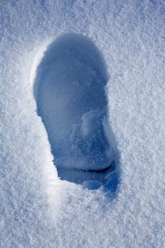 Tracks on fresh snow 