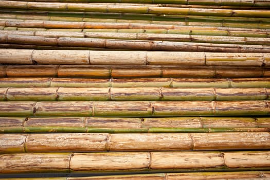 Bamboo raft