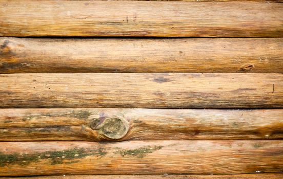 Wood Texture