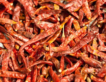 Isolate Dried chilli peppers background