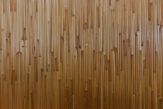 Bamboo Texture, Background