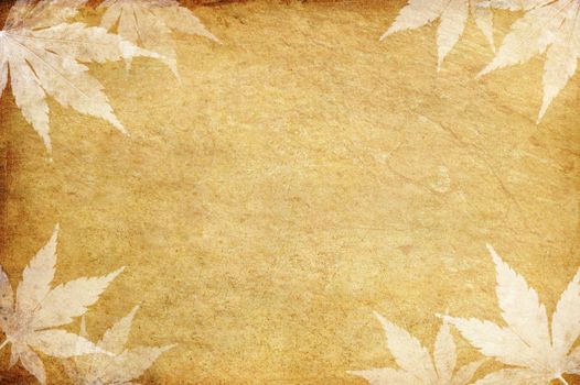 old grunge paper and leaf with copy space