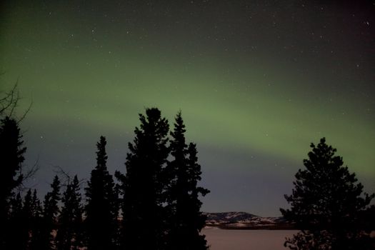 Aurora Borealis display and lots of stars in clear night sky, image taken at the shore of Lake Laberge, Yukon Territory, Canada