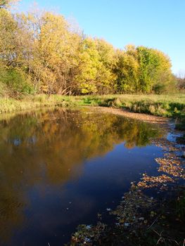 Beautiful fall colors reflect off the Kishwaukee River in Boone County, Illinois.
