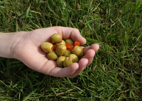 Boy's hand filled with olives.