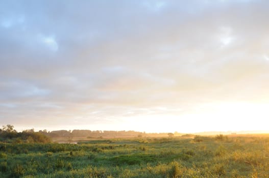 the rays of a getting up sun slide on a green meadow and light up sky