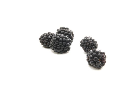 Group of plump, juicy blackberries ready to eat, isolated on white