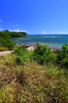 The Caribbean coastline at Guanica Dry Forest Reserve - Puerto Rico.