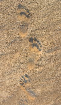 Foot prints in the sand