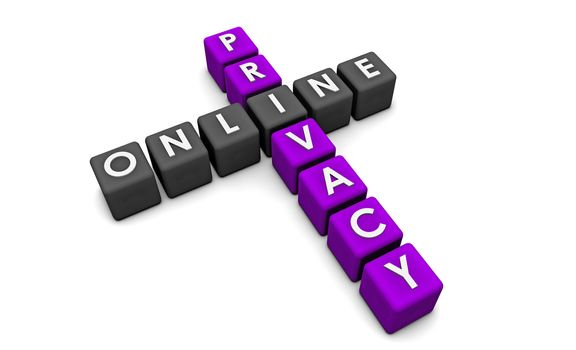 Online Privacy of your Data on the Web