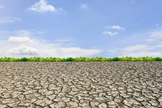 Large field of baked earth after a long drought