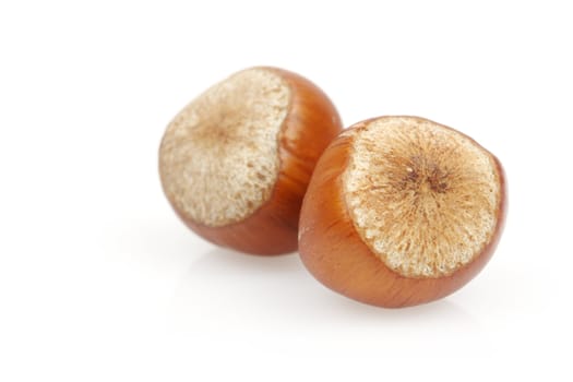 Close up of hazelnuts over white, shallow dof