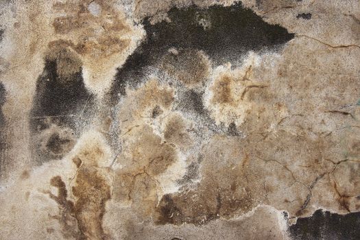 texture of the old and damaged stucco - plaster