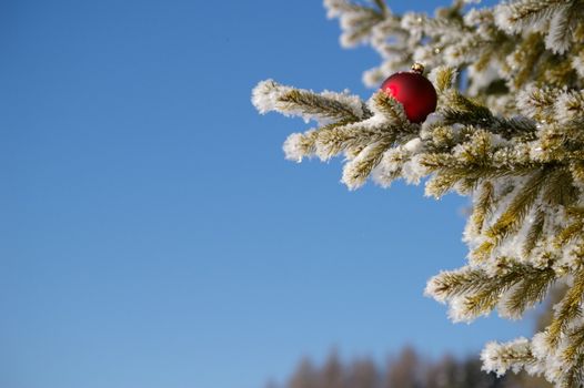 red bauble christmas ball ornament outside in a snowy winter scene