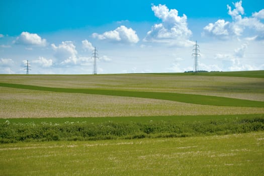 Summer landscape with field and meadow and blue sky