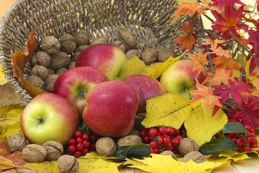 beautiful arrangement of autumn leaves and red apples and walnuts
