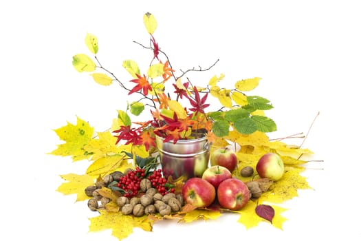 beautiful arrangement of autumn leaves and red apples and walnuts