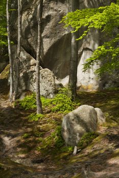 Ancient rocks among spring forest and footpath