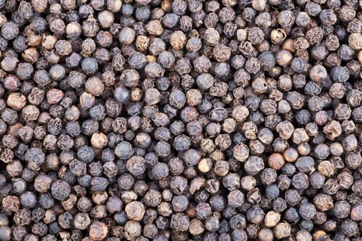 Black peppercorns food texture background.
