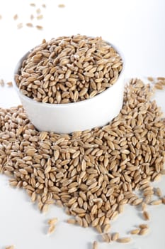 Healthy raw spelt grain in white bowl