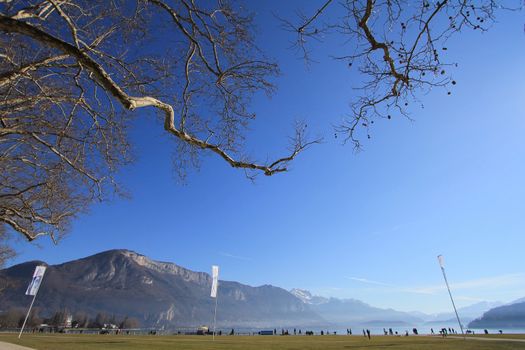 lake annecy and trees