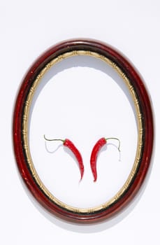 two red peppers in retro oval frame on white background