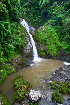 Beautiful Dona Juana Falls in the Cordillera Central rainforests of Puerto Rico.