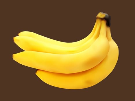 vector illustration of the fersh banana bunch