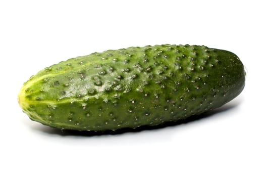 Fresh green cucumber on a white background


