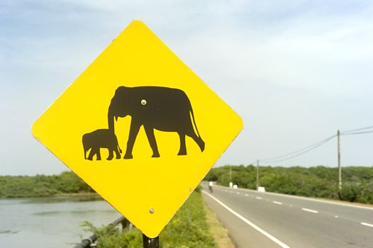 Yellow Elephant wanring sign on the road in Sri Lanka