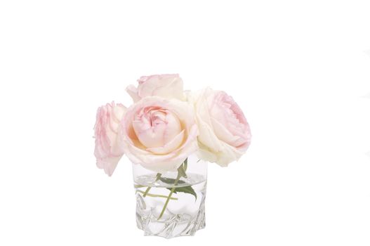 Three Pink roses in a glass on white background