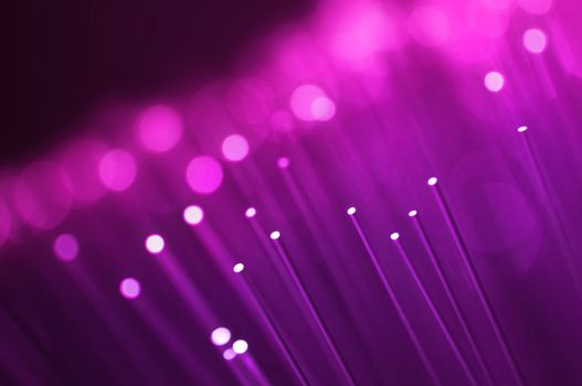 Close up on the ends of many illuminated pink and violet fiber optic strands with black background. Focus on foreground.