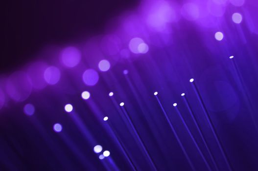 Close up on the ends of many illuminated blue and violet fiber optic strands with black background. Focus on foreground.