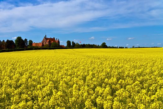 An old Danish castle surrounded by canola fields