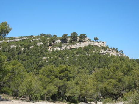 garrigue between Marseille and Aubagne in south France